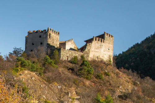 Montani