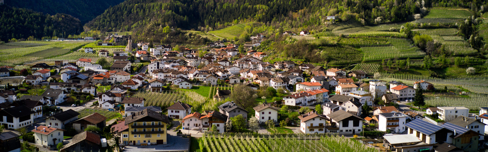 Baienhof mit Umgebung